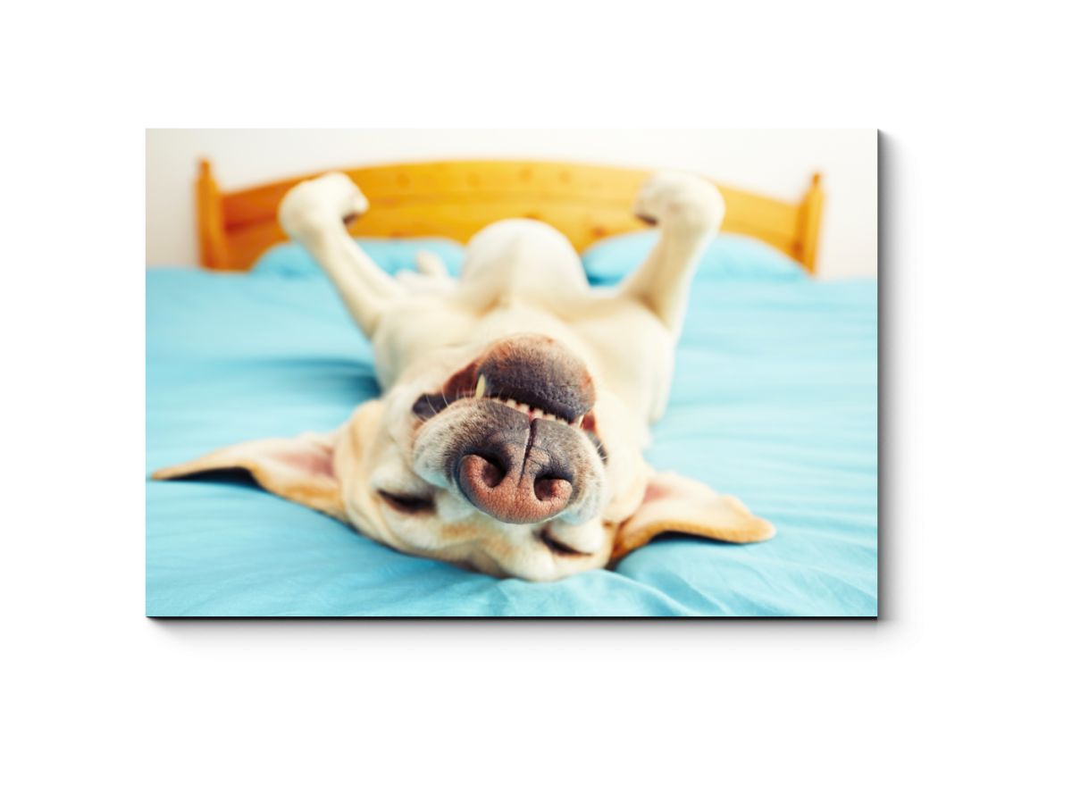 Девушка утром