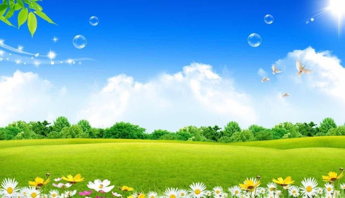 Лужайка и голубое небо