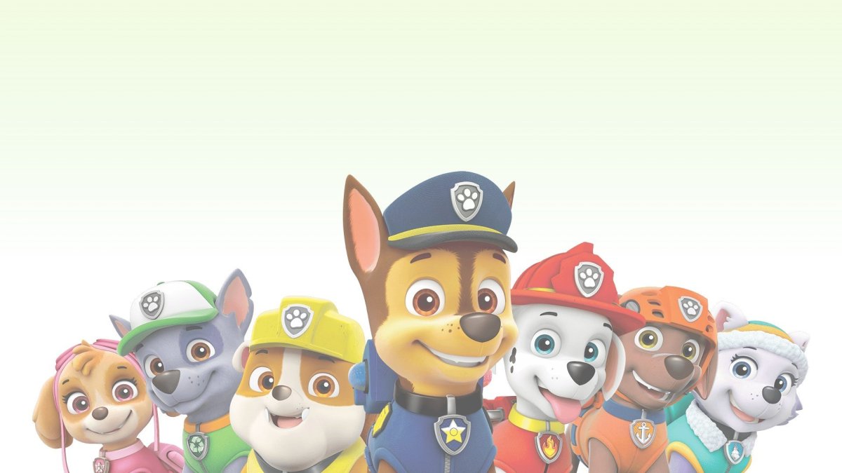 Paw Patrol 5
