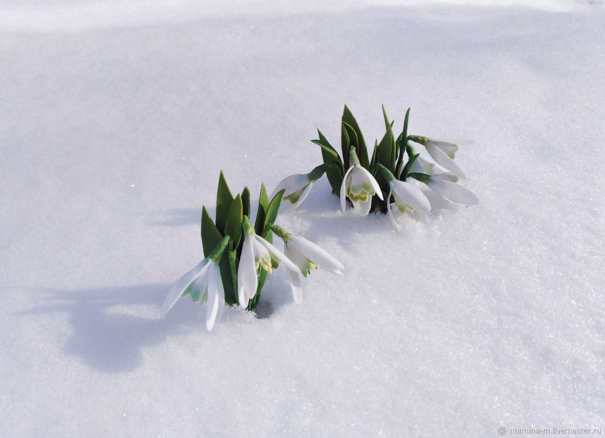 Весна проталины подснежники природа