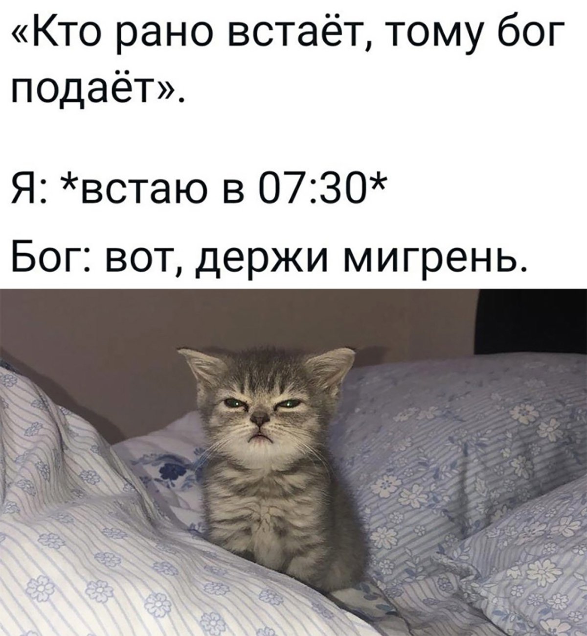 Меня нужно обнимать но пендель будет эффективней