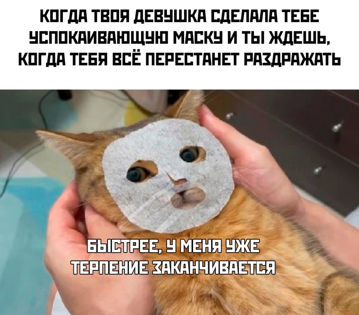 Кто рано встаёт тому