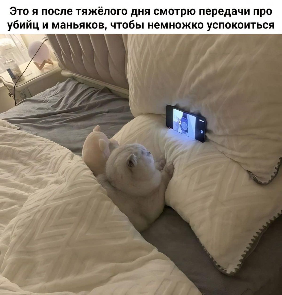 Утренние шутки