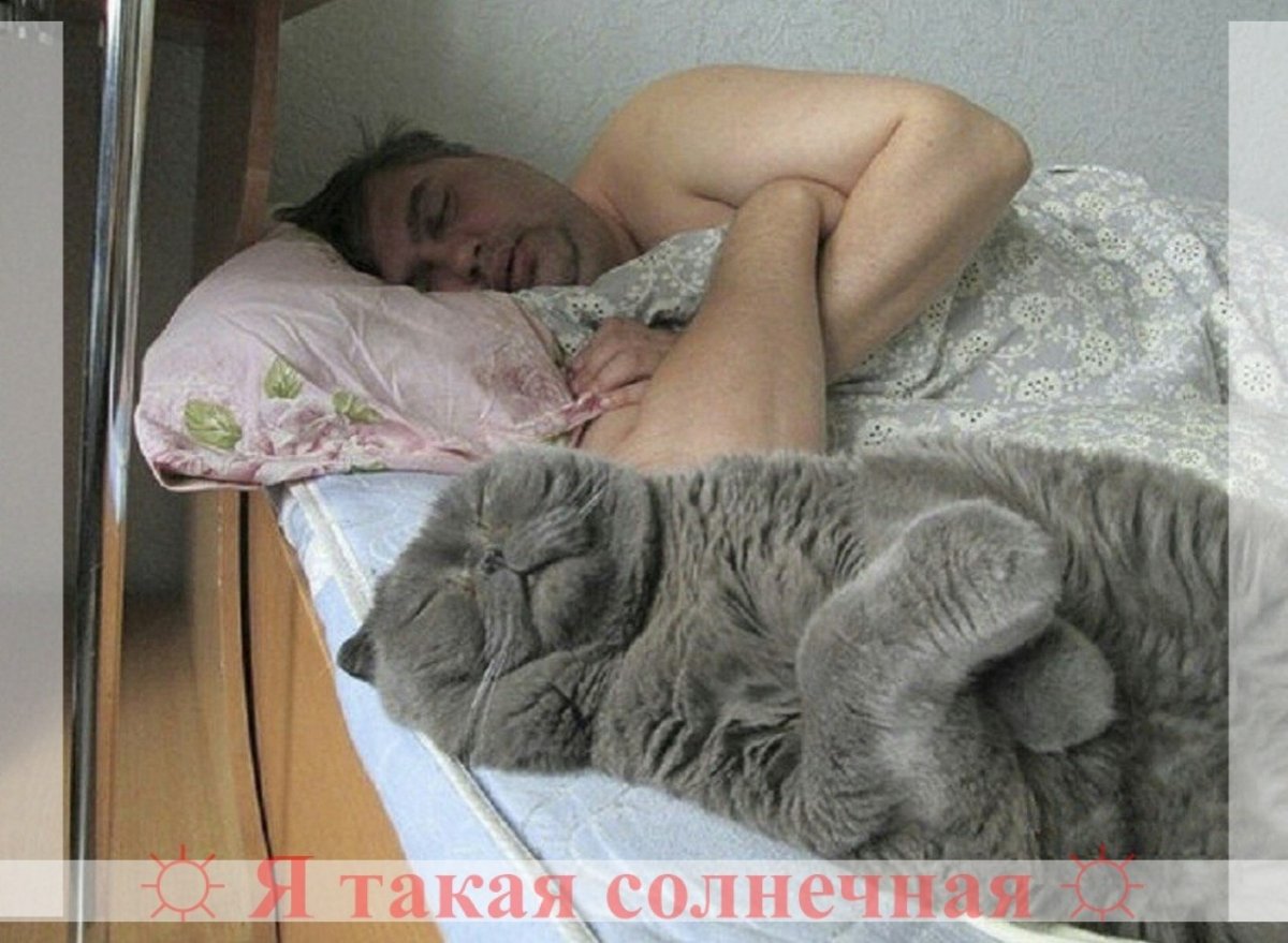 Наташа и коты