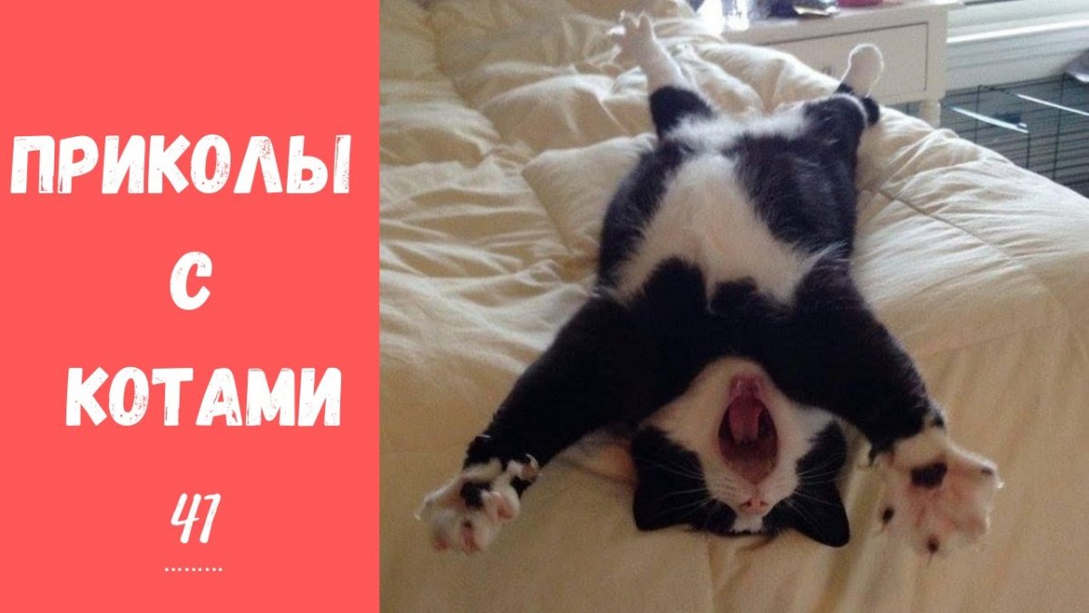 Доброе утро работа