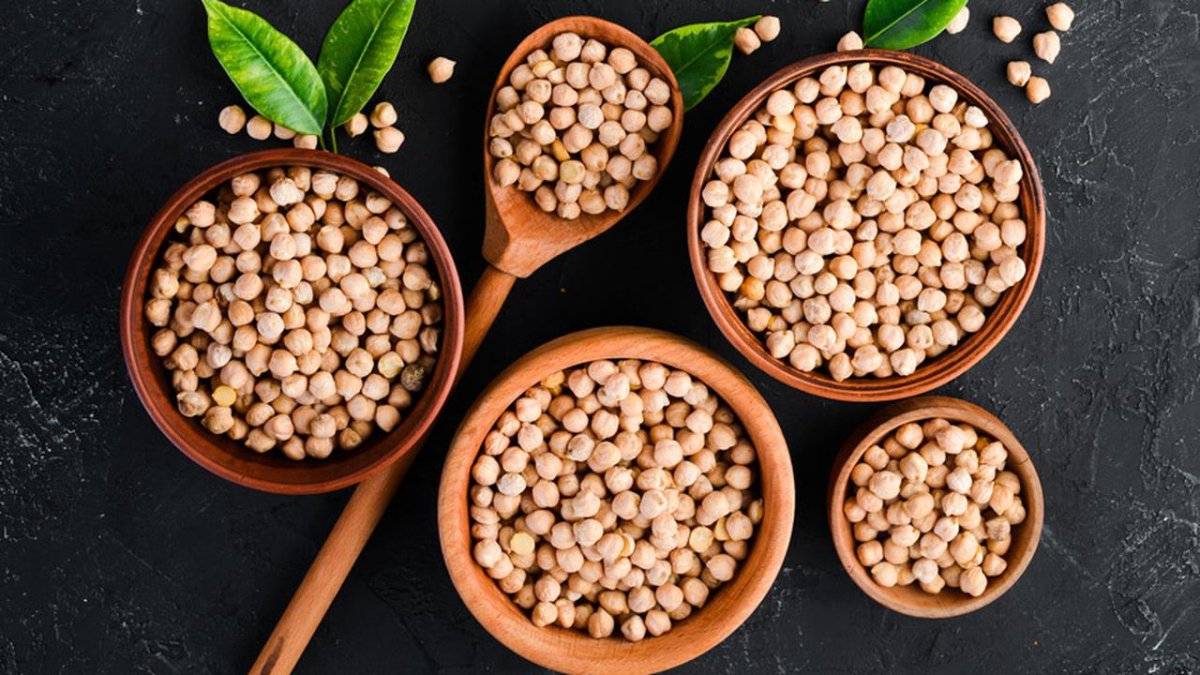 Нут (турецкий горох) растение