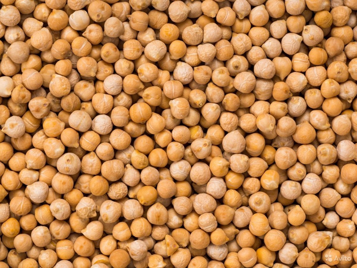 Нут в Японии