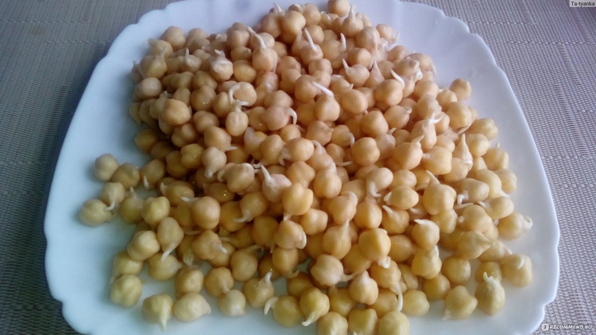 Нохут горох нут