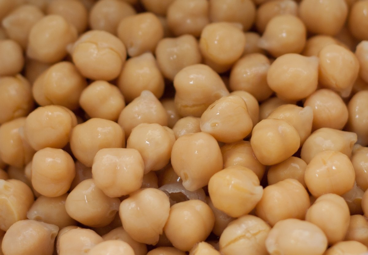 Нут растение