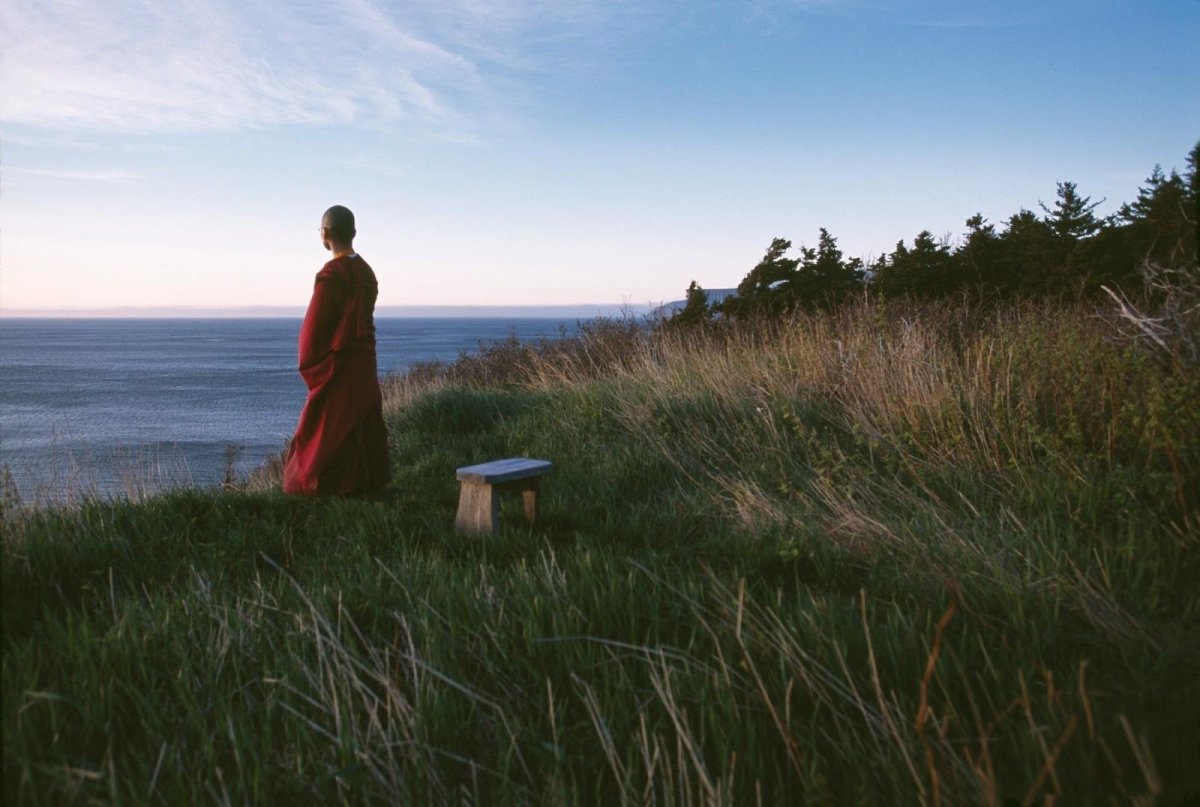 Гармония в одиночестве