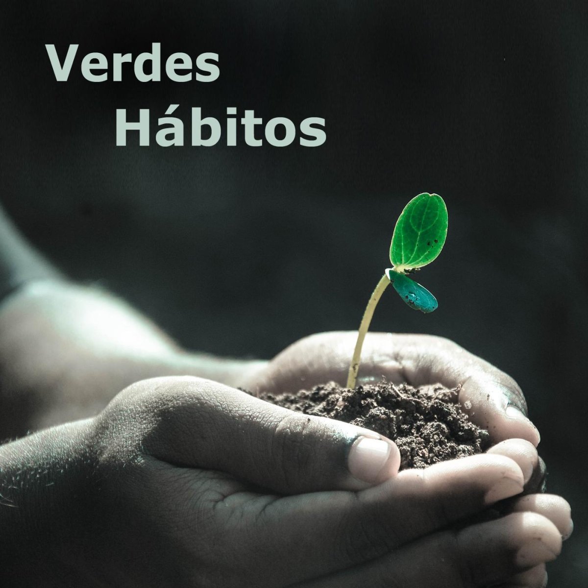 Возрастайте в благодати и познании Господа нашего и Спасителя