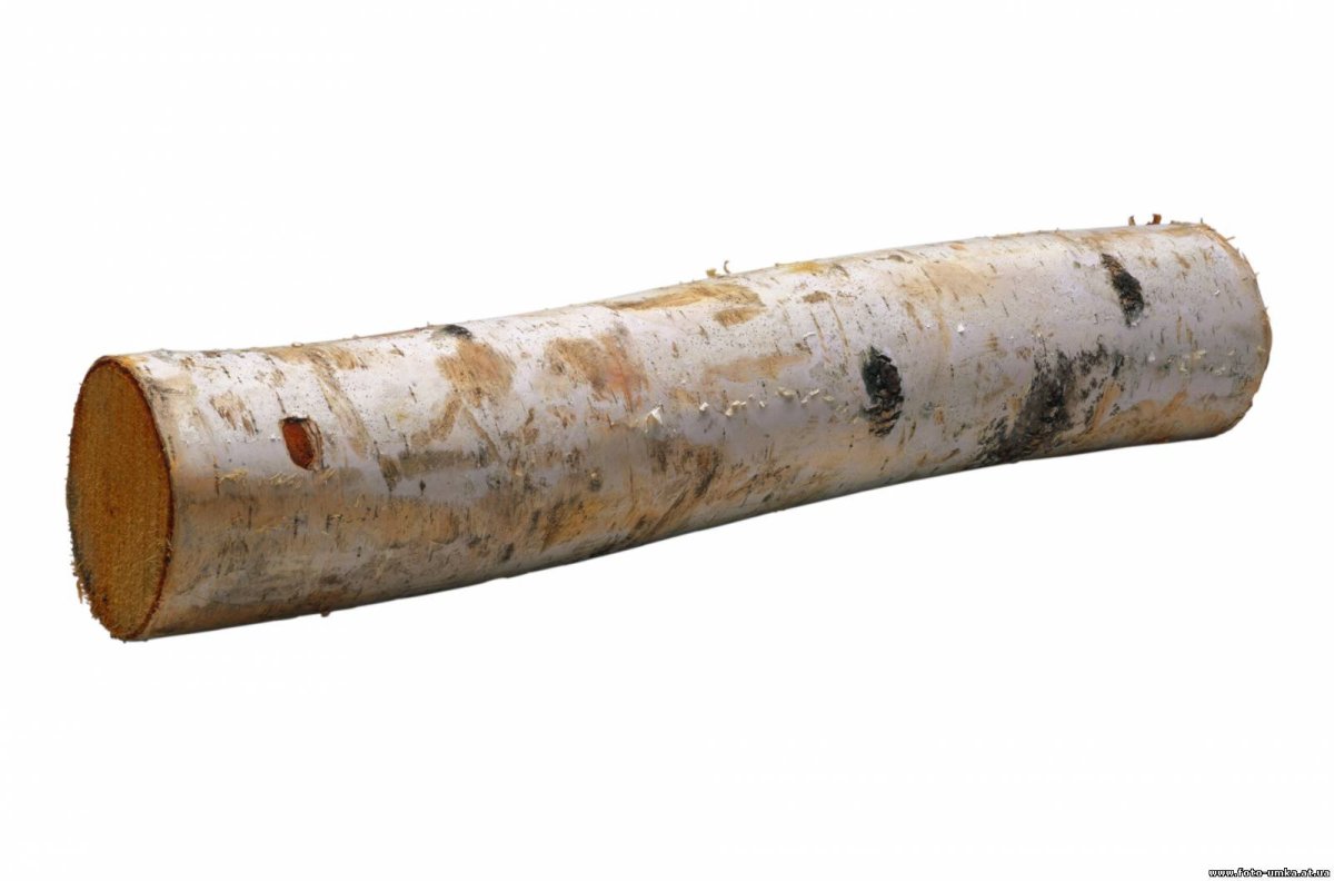 Мебель из пней