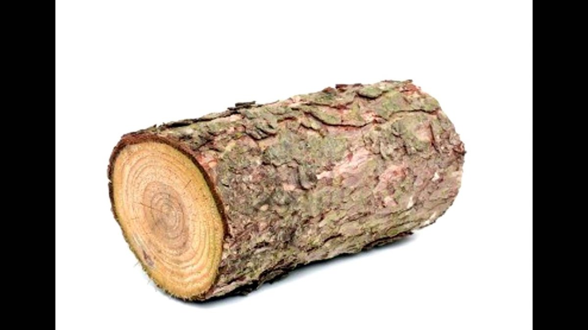 Модель бревна