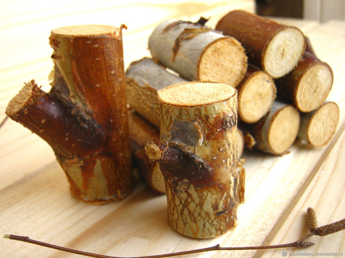 Бревно нарисованное