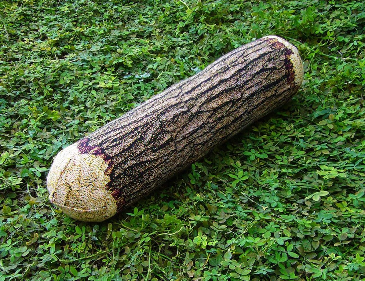 Торт бревно