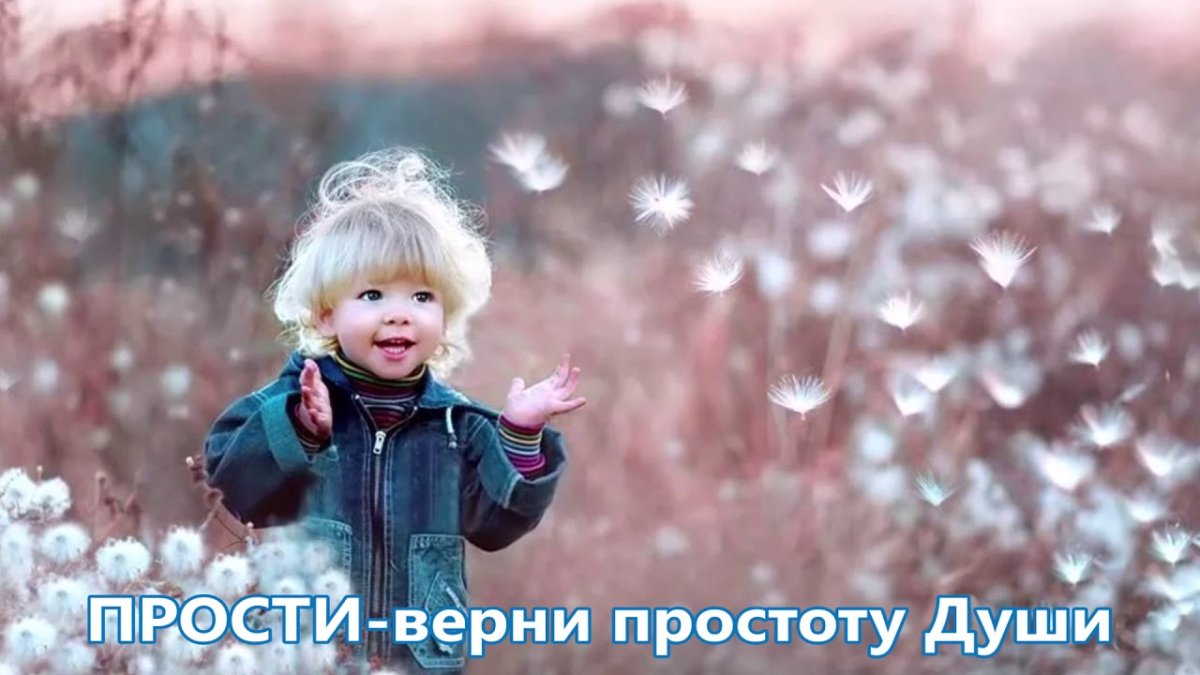 Моменты счастья. Фотограф Светлана Квашина