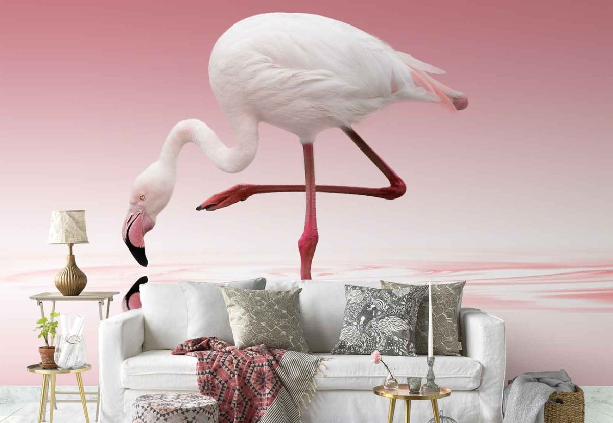 Фламинго рисунок милый