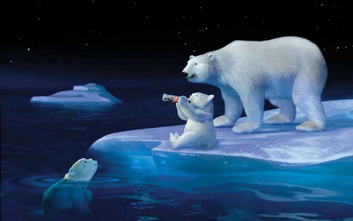 Белый медведь обои