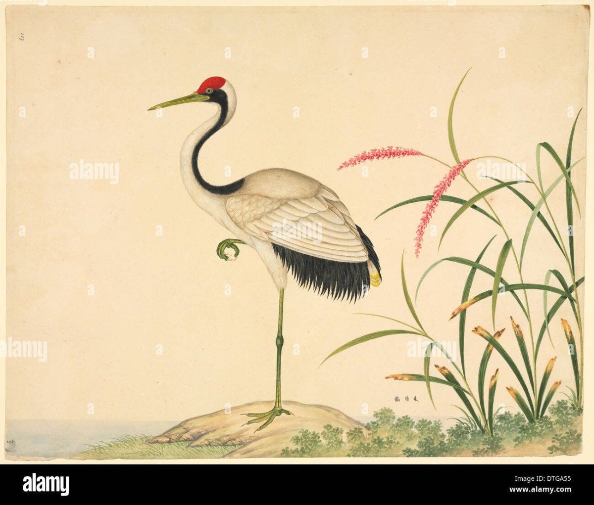 Цапля живопись