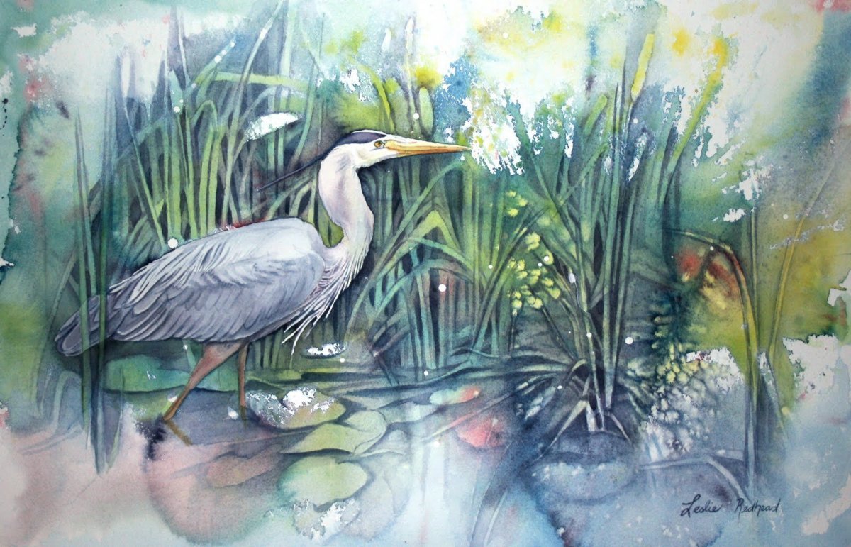 Красивые Журавли