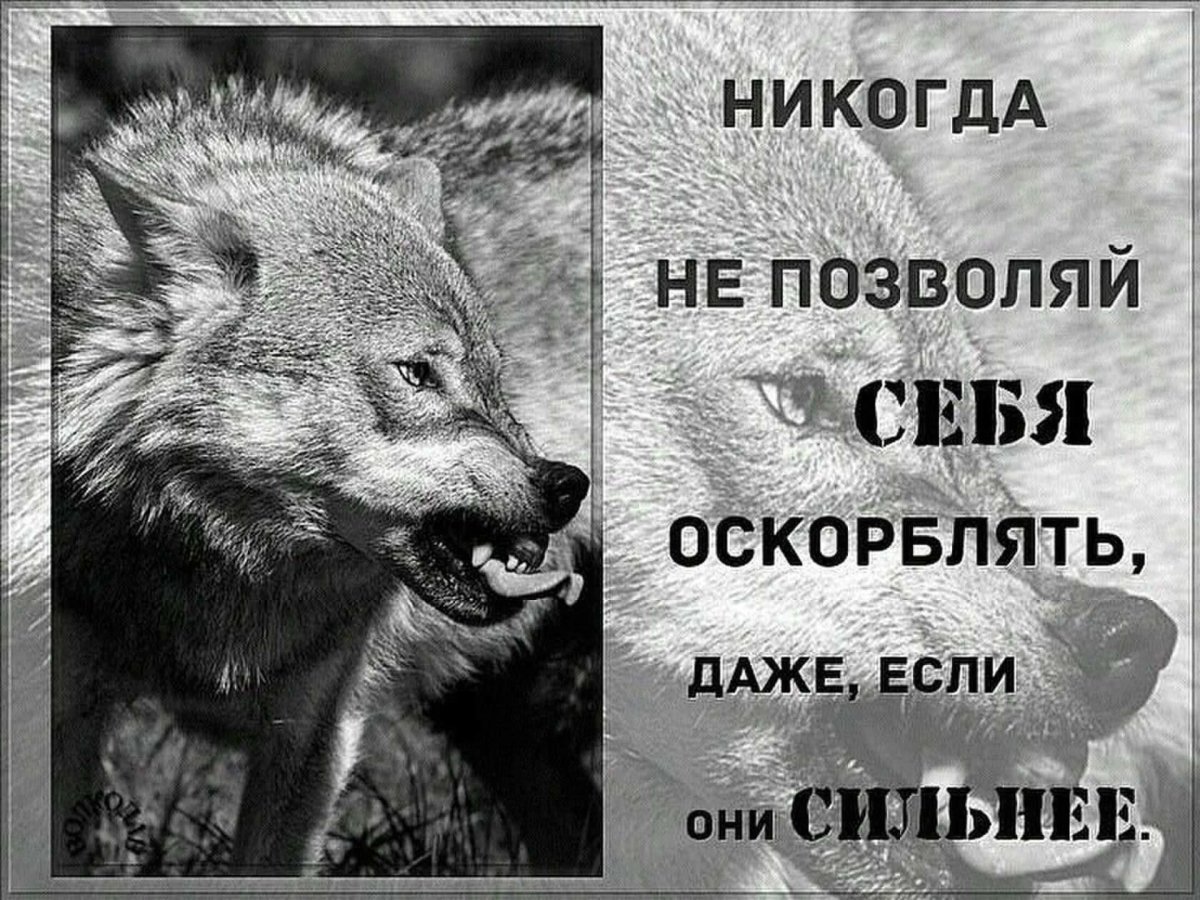 Виктория Коновалова Тольятти