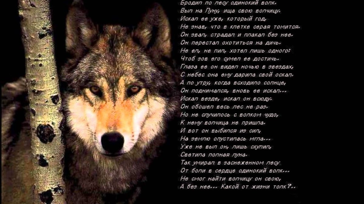 Высказывания о предательстве близких