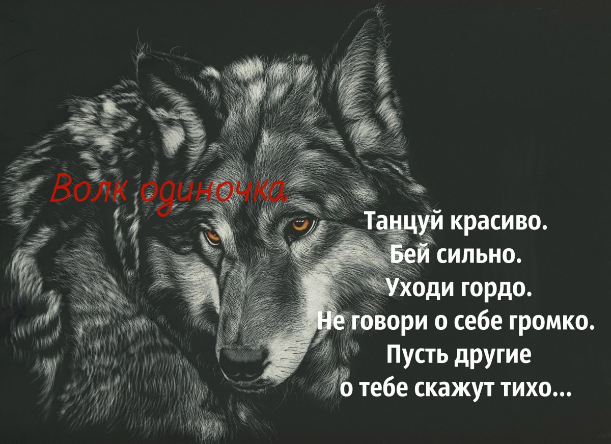Грустные цитаты с волками