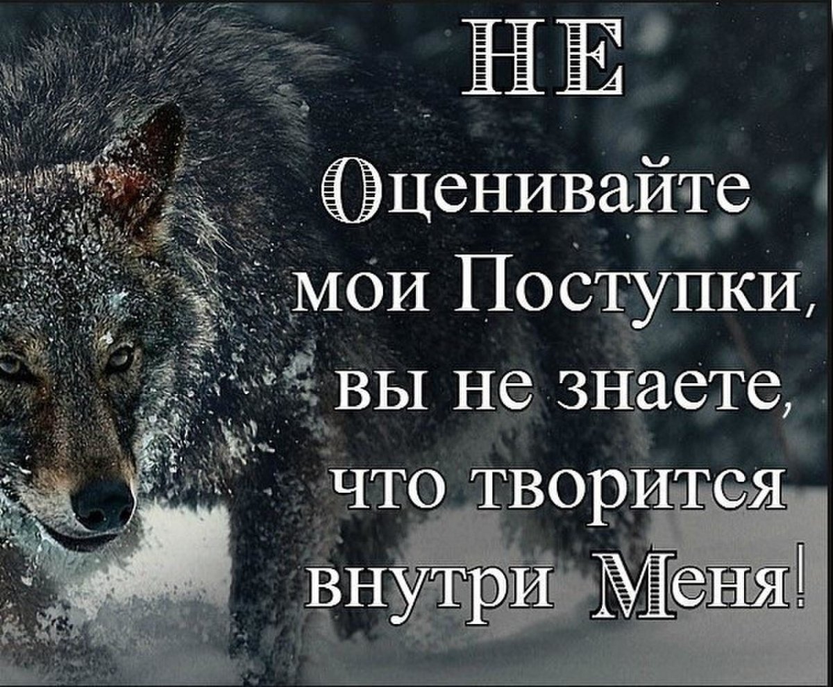 Одинокая волчица