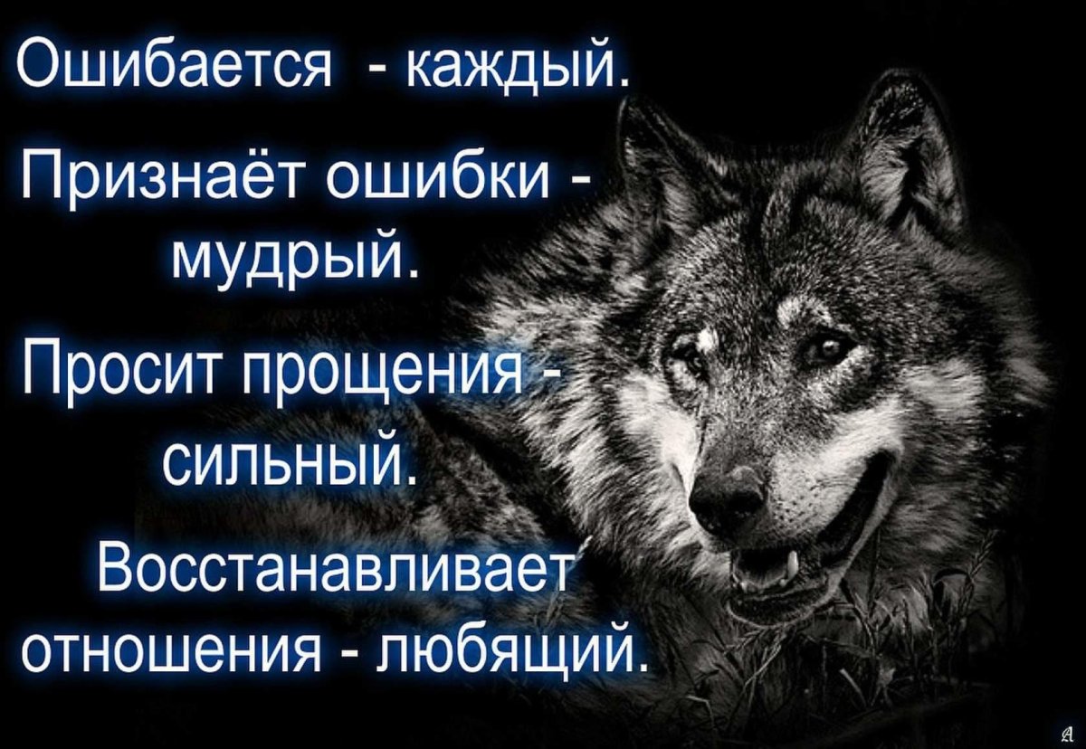 Одинокий волк стихи