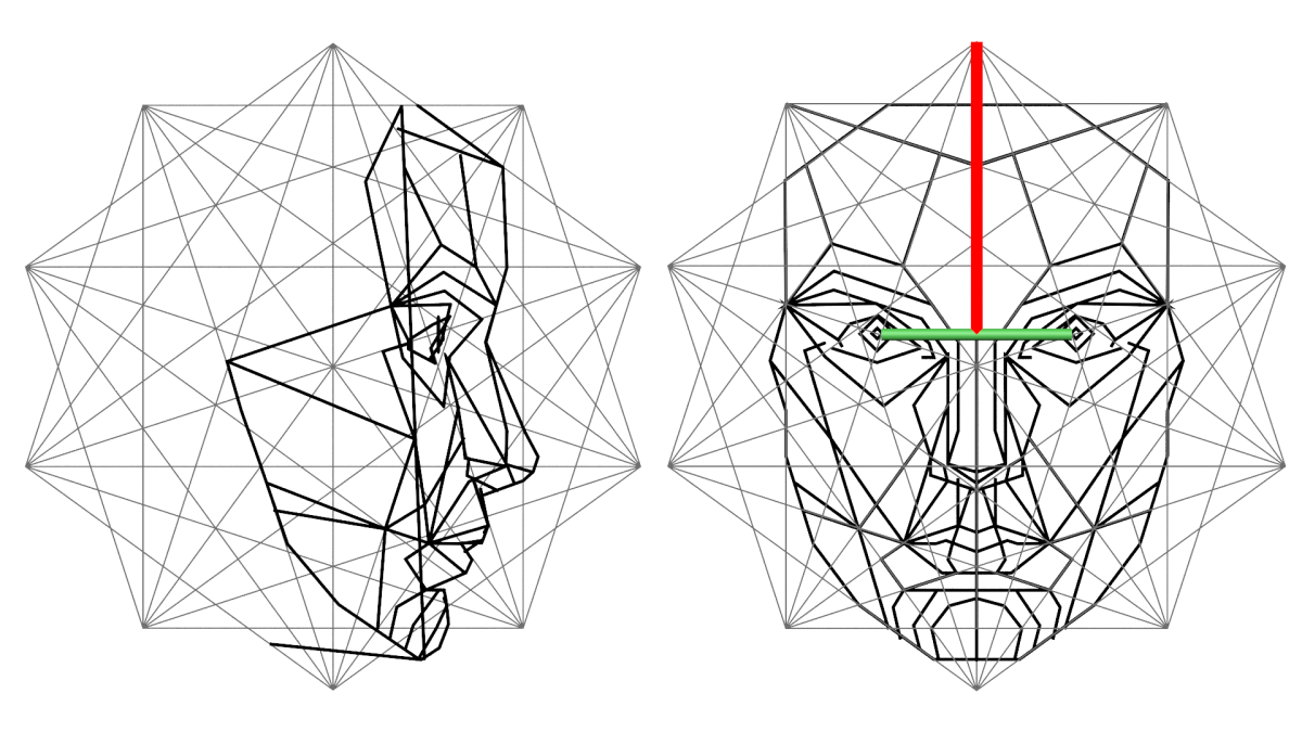 Рафаэль Араухо: золотое сечение