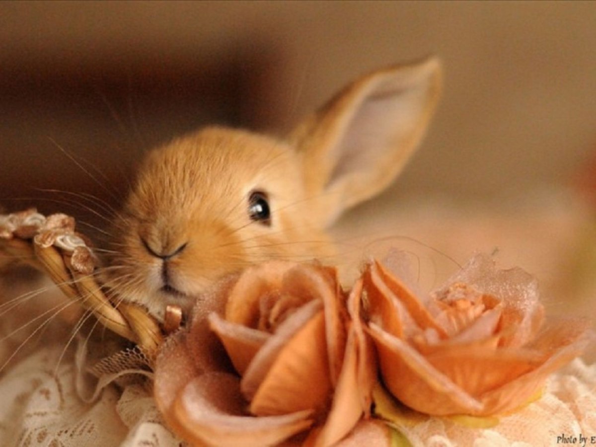 Эван Лазар цитаты в картинках