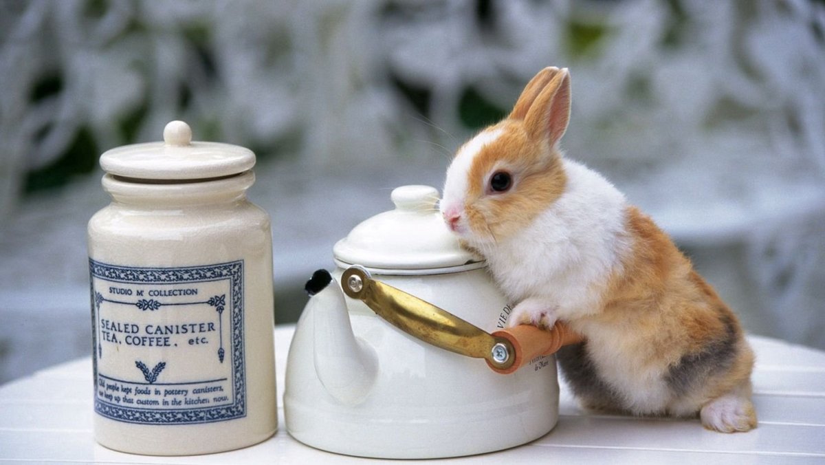 Кролик в веночке