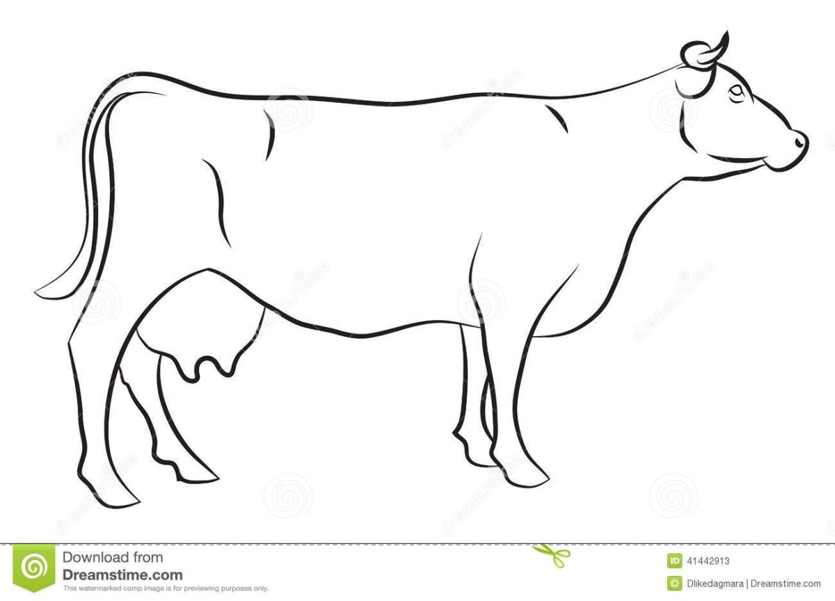 Корова черно белая