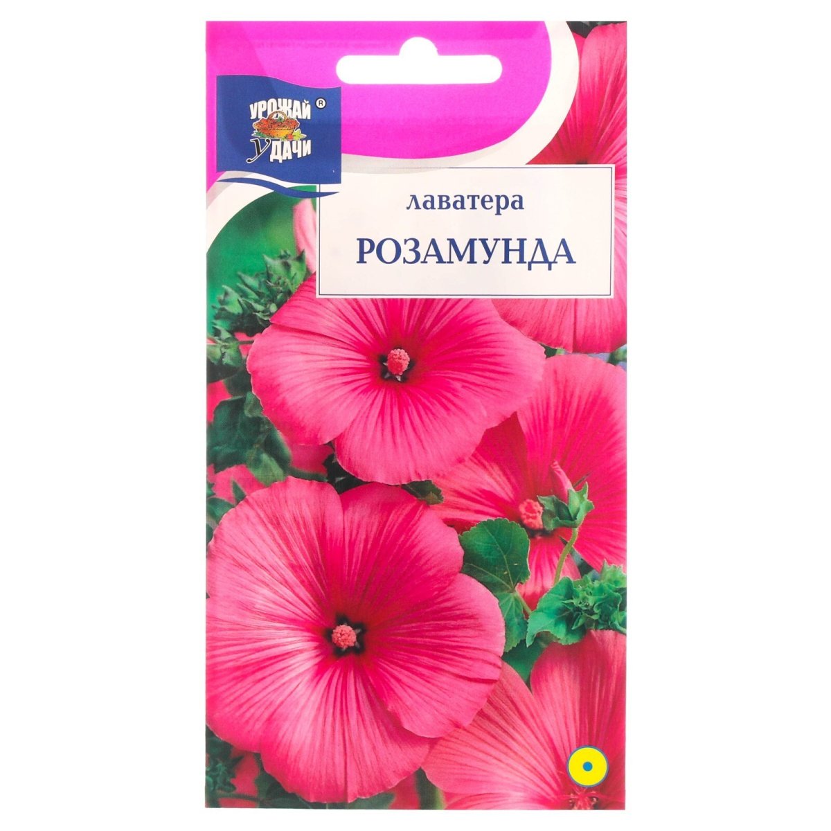 Лаватера красотка розовая