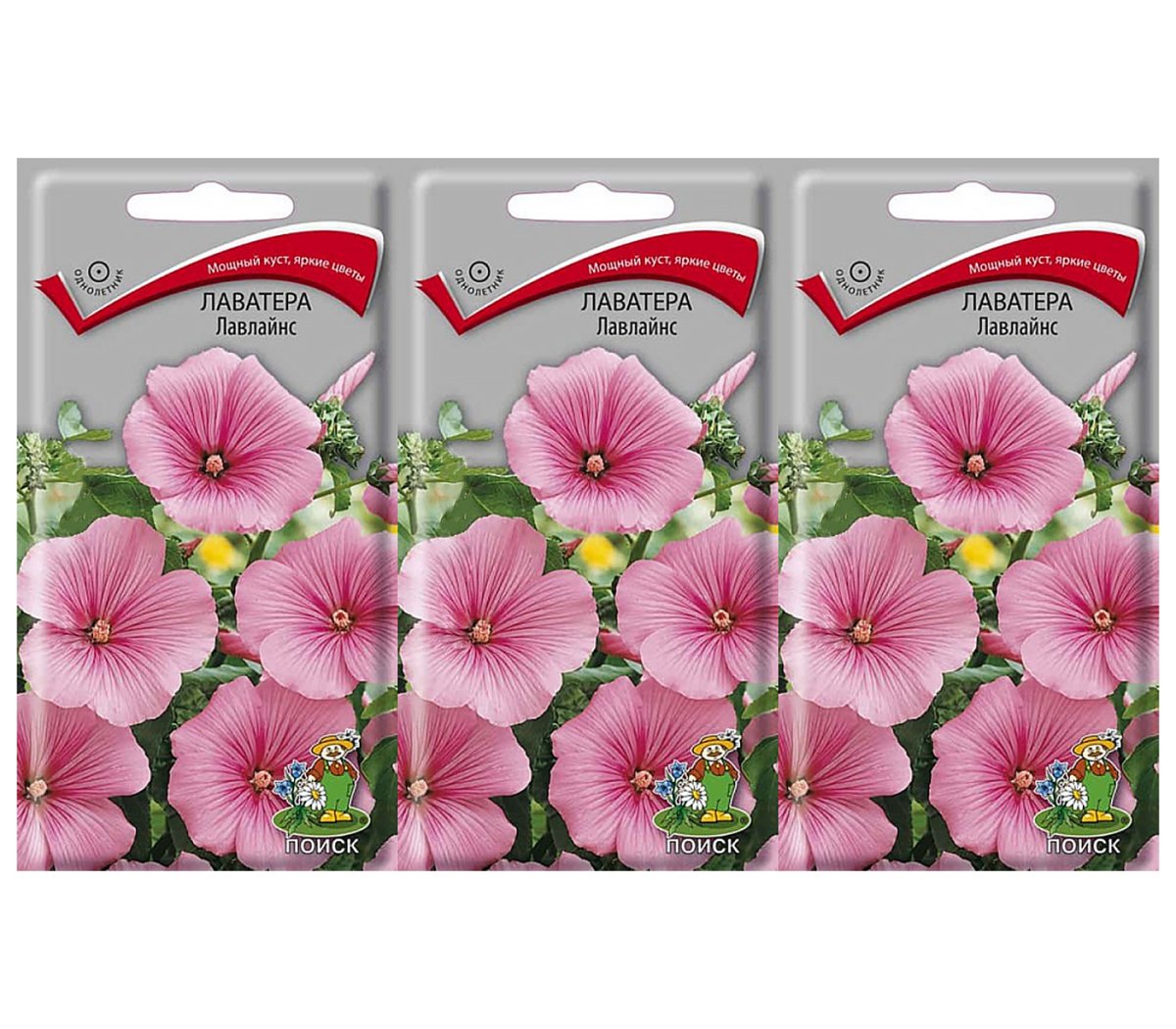 Лаватера древовидная