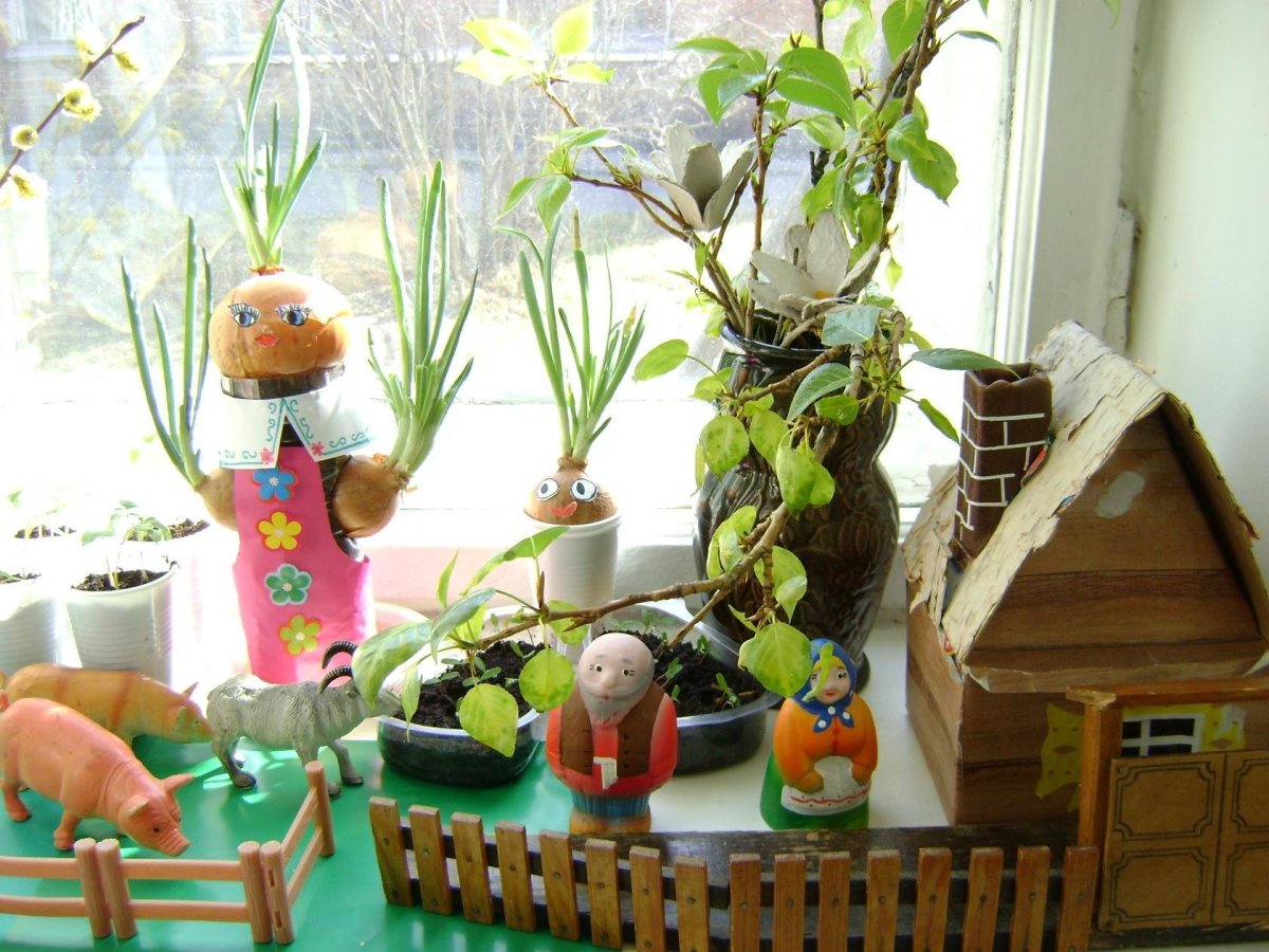 Паспорт растений огород на окне