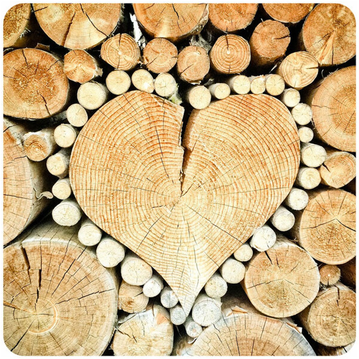 Заставка древесина