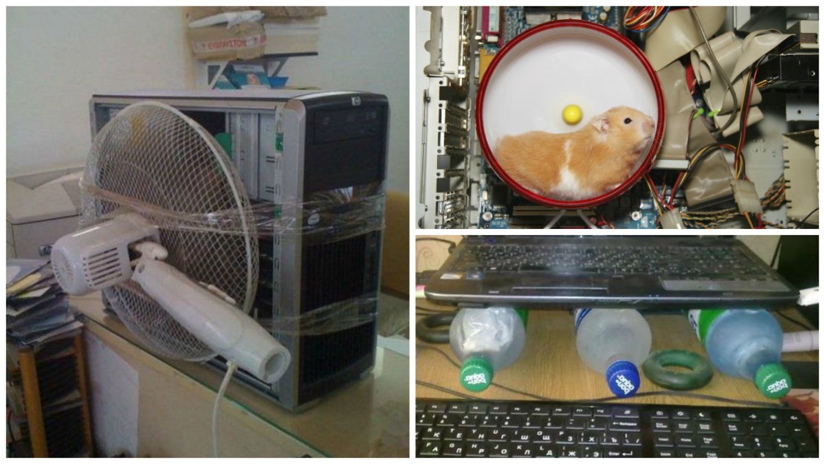 Аквариумная рыбка раздулась