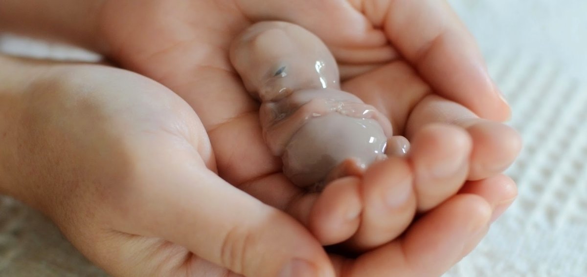 Детский животик с пупочком