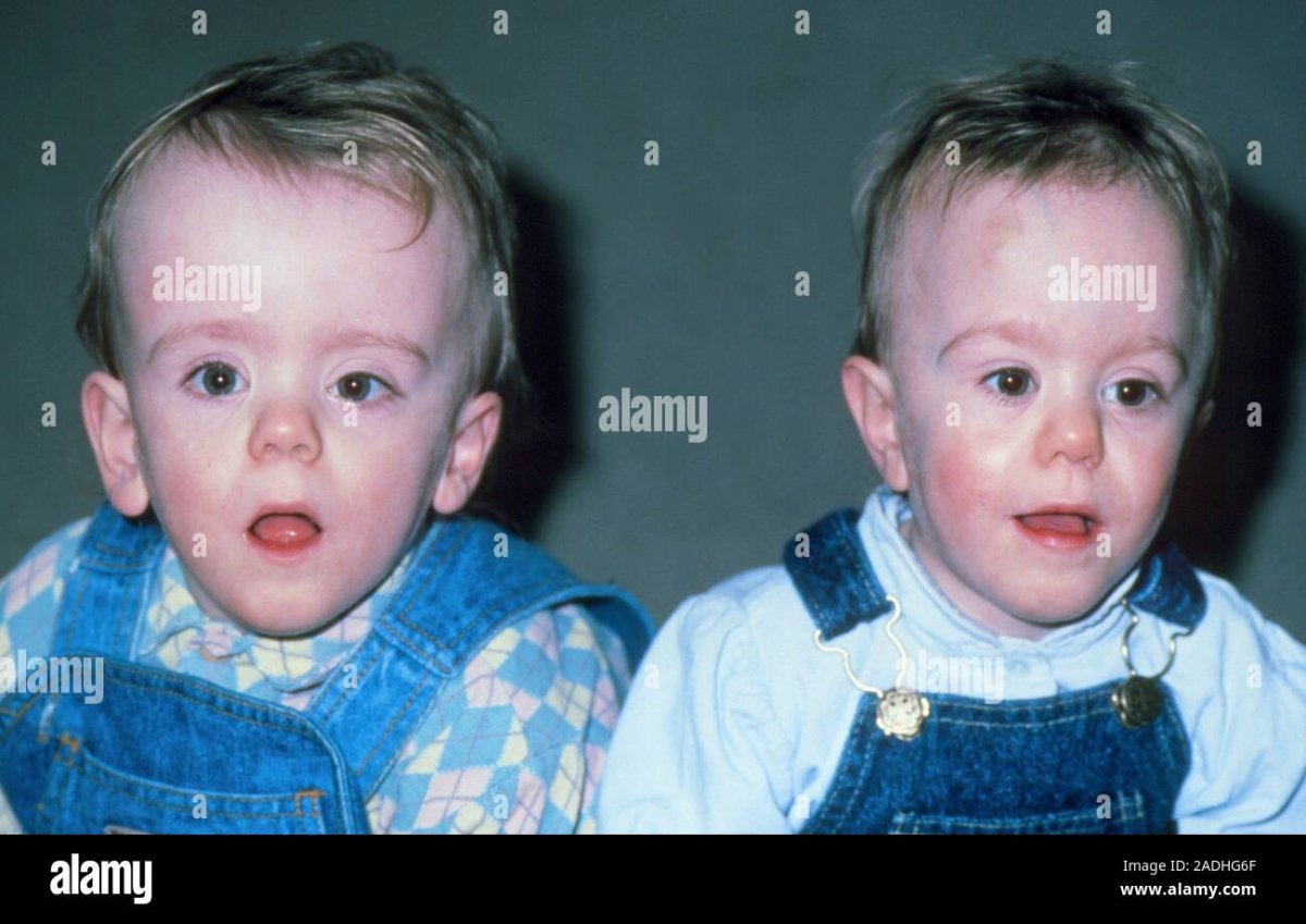 Смешные видеокарты