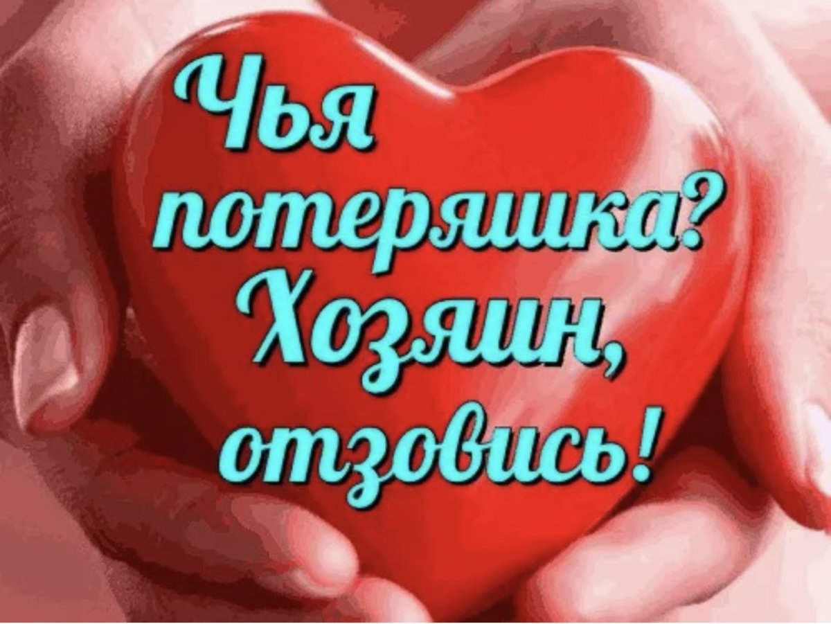 Потеряшка фото