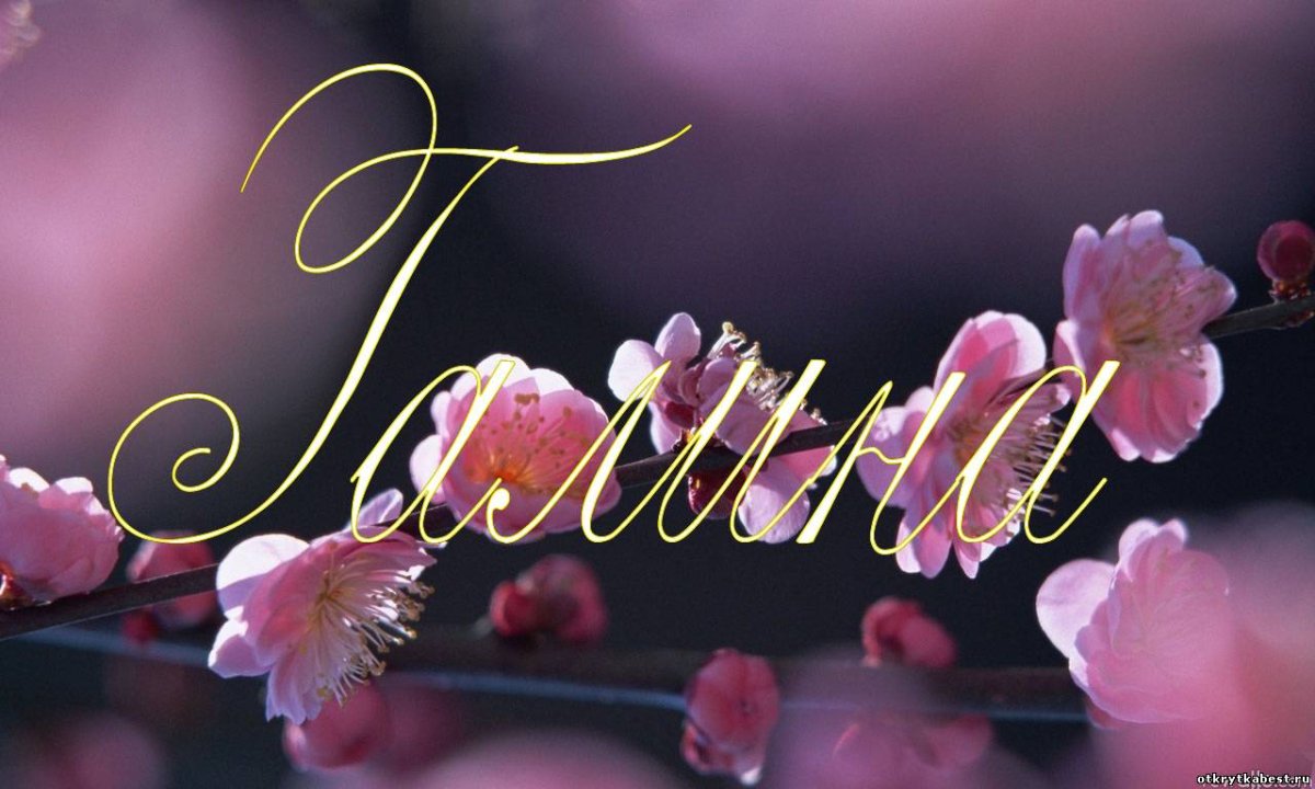 Цветы Галине