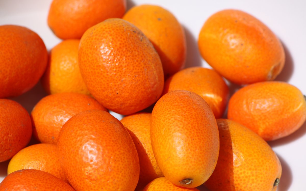 Маленький мандарин кумкват