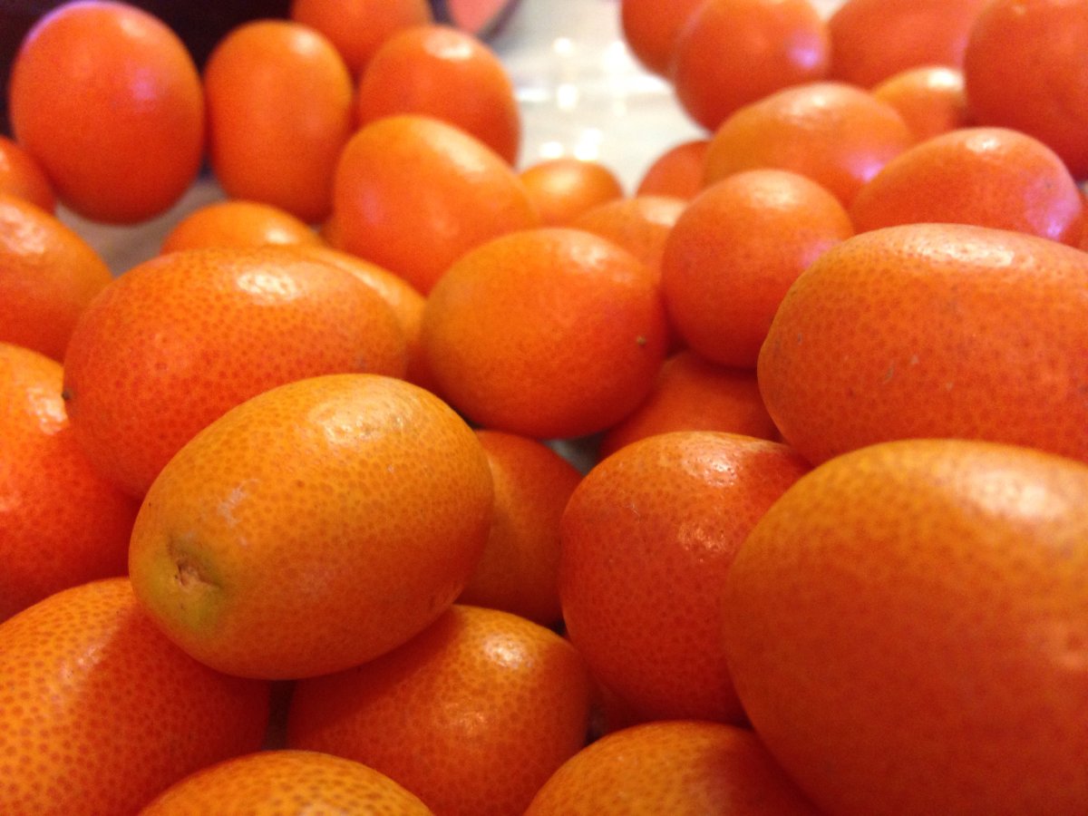 Новоорлеан кумкват