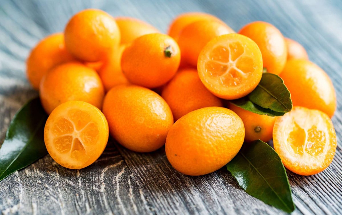 Кумкват цитрусовые