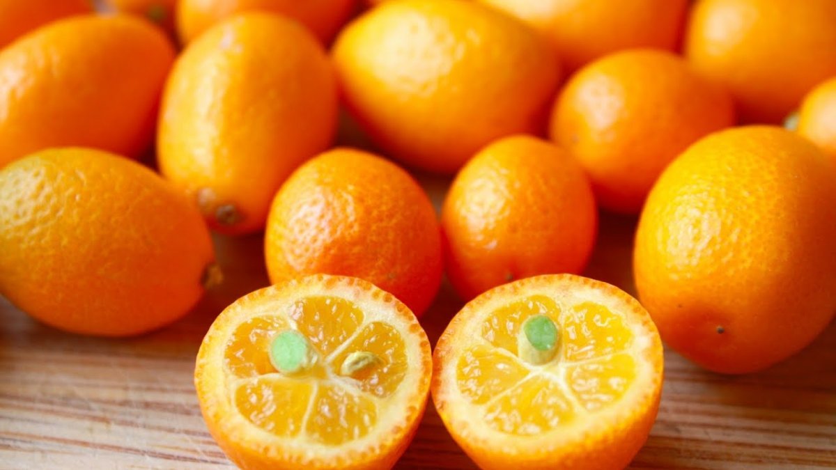 Дикий мандарин кумкват