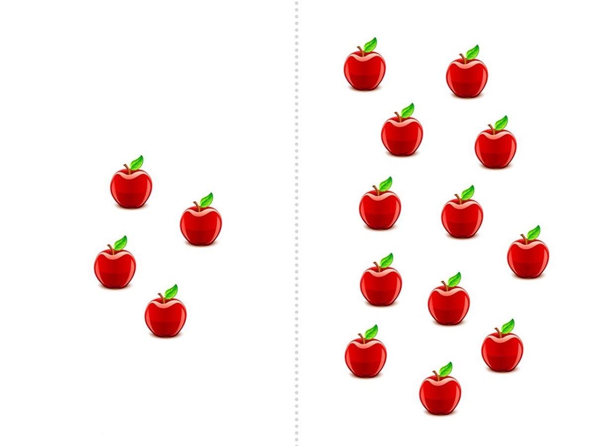 Сосчитай насекомых