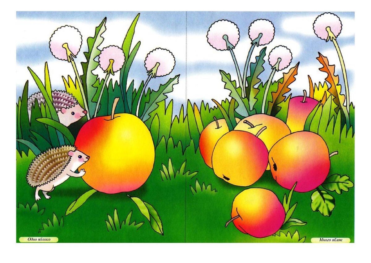 Карточки один много