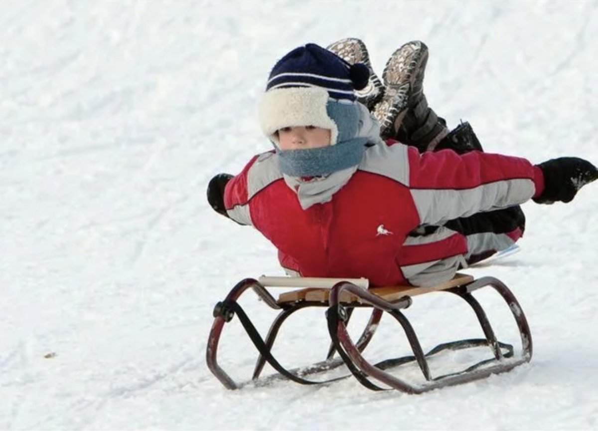 Лошадь с санями