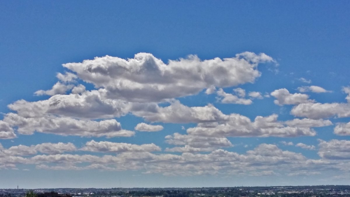 Cumulus humilis